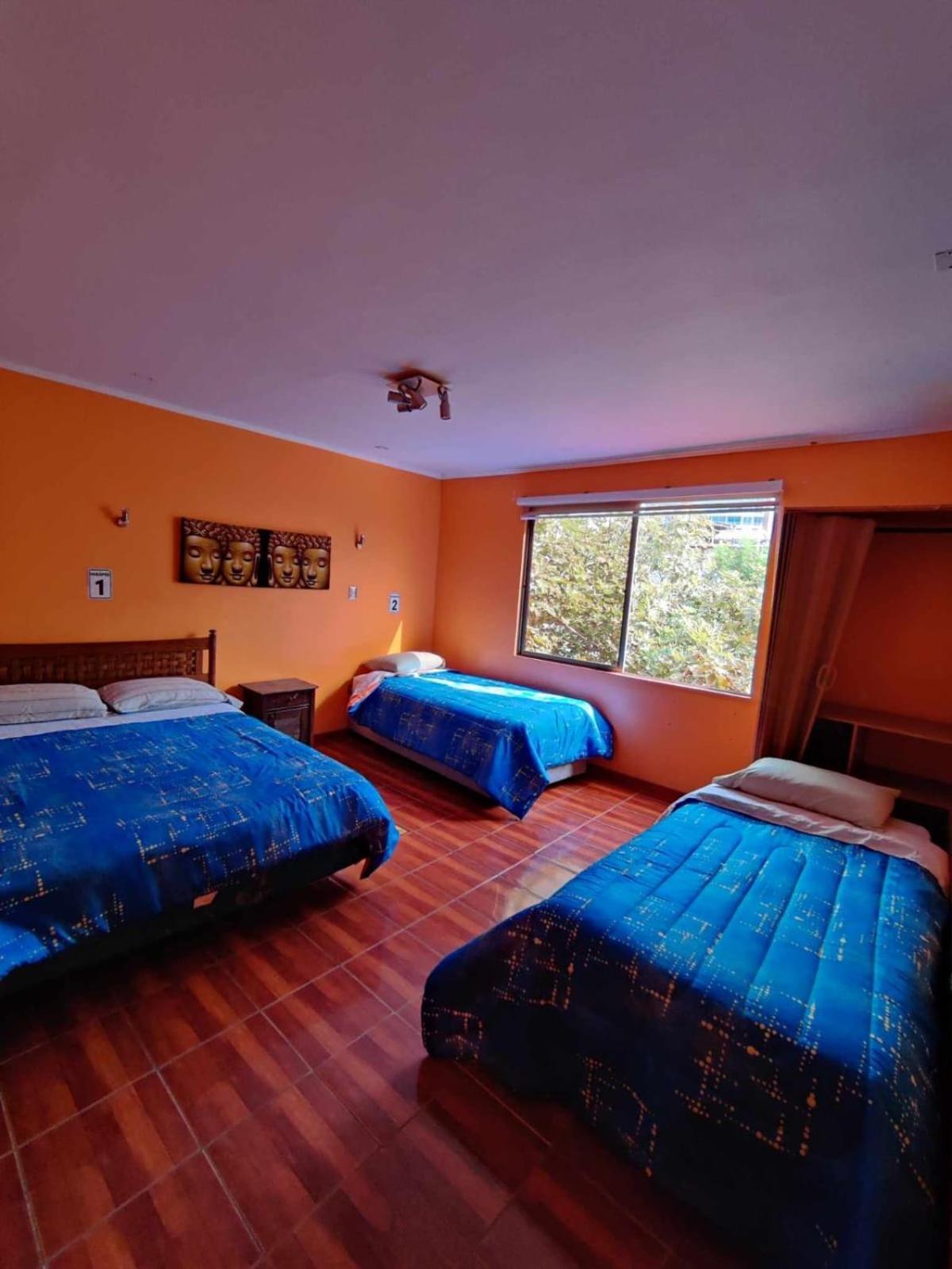Hotel Casa Del Profesor إكيكي المظهر الخارجي الصورة